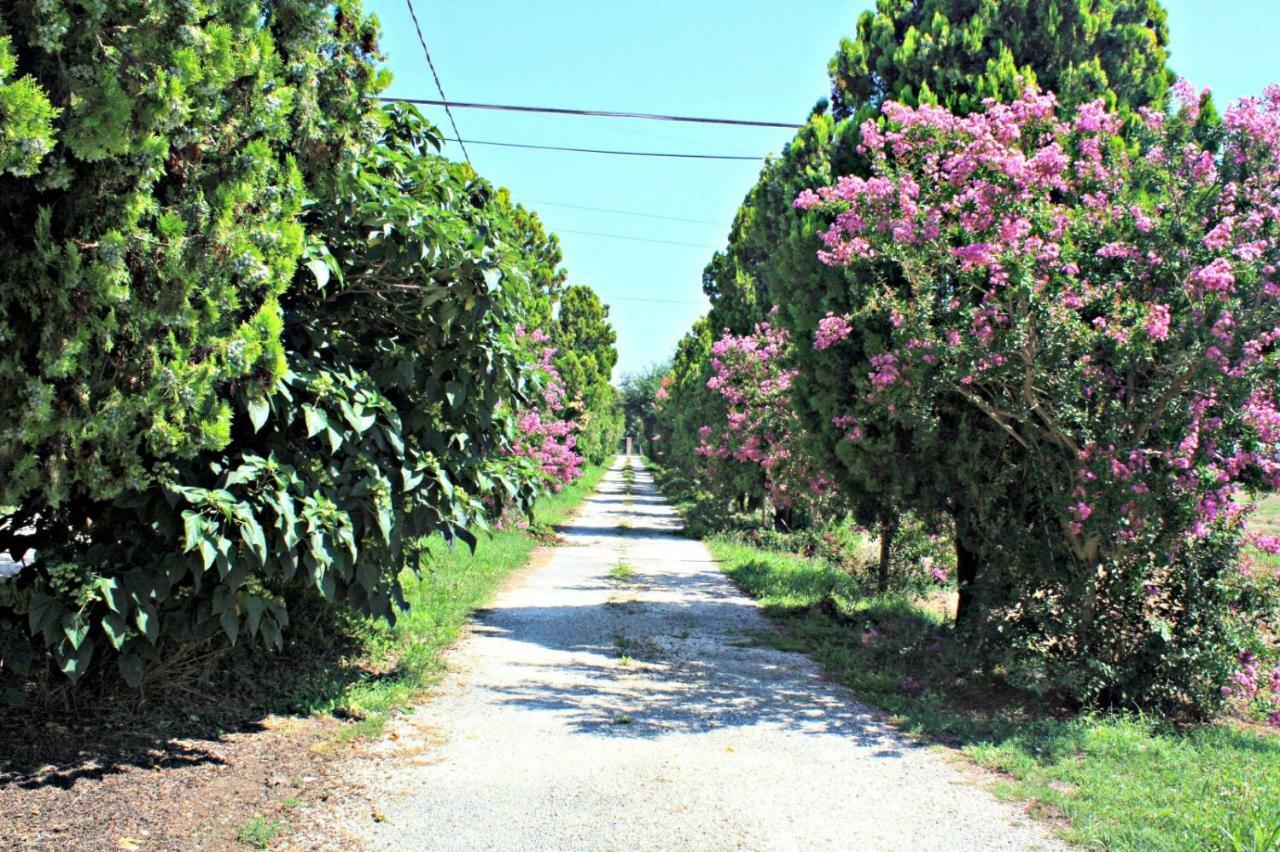 B&B Villa Paolida, Aceto Balsamico & Acetaia Antica Nonantola Dış mekan fotoğraf